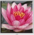 /album/photo-gallery-canvas-uri/decoratiuni-de-perete-canvas-lc-0100-jpg/